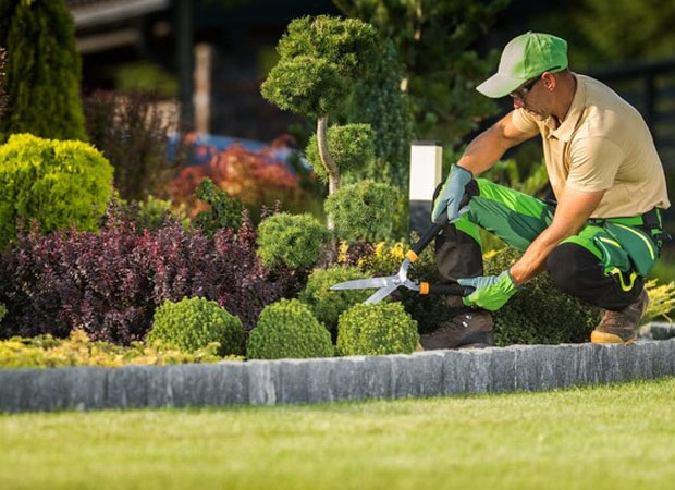 Landscaping